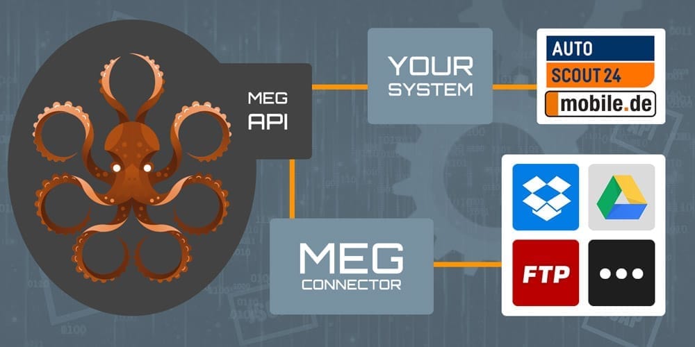 MEG Connect