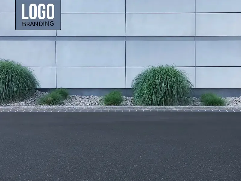 BD1011